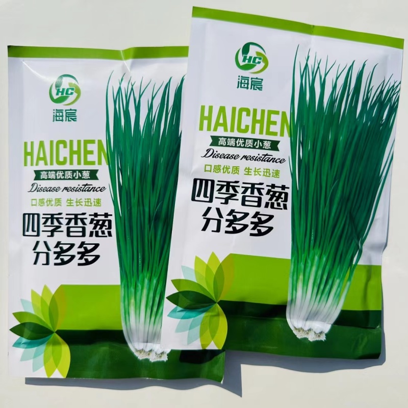 分多多香葱种子小葱种子黑叶分葱分蘖小香葱四季大田蔬菜种子