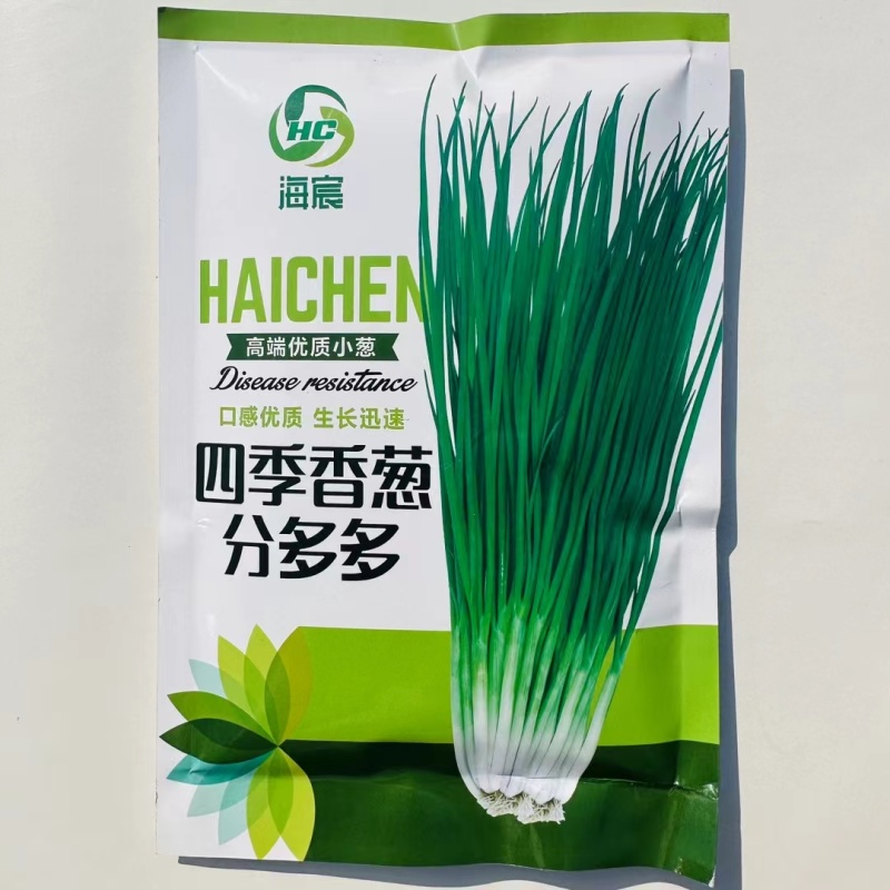 分多多香葱种子小葱种子黑叶分葱分蘖小香葱四季大田蔬菜种子