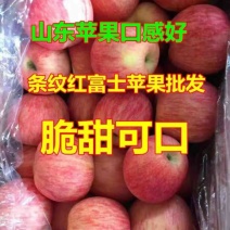 山东红富士苹果价格，冷库苹果代存代卖产地直销价格低