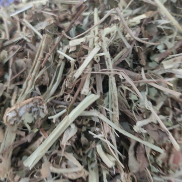 原产地直发柔丝风选花生秧