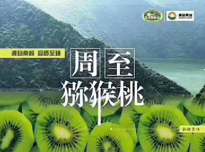 周至猕猴桃