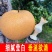 秋月梨-精品（4-9两）定制现摘-糖分13·5预定