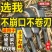 高硬度加厚砍柴刀砍树刀一体锻打砍破竹刀农用开路神器劈柴弯