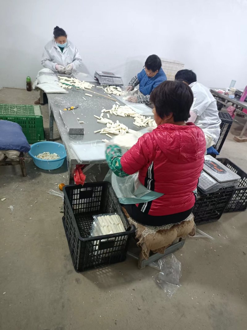 去皮真空山药条温县铁棍山药商超，渠道