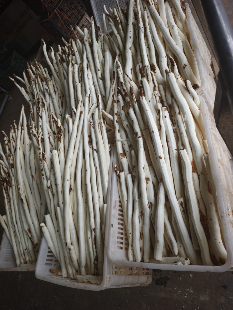 去皮真空山药条温县铁棍山药商超，渠道