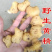湖南崀山野生黄精个子大肉厚泡药酒，药效好