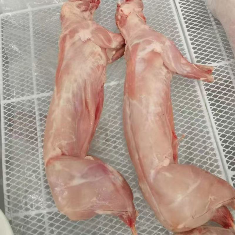 新鲜兔肉白条兔猫狗宠物饲料高蛋白低脂肪品质保证量大从优