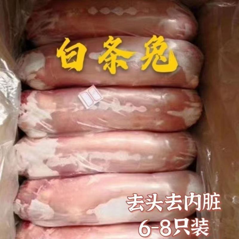 新鲜兔肉白条兔猫狗宠物饲料高蛋白低脂肪品质保证量大从优