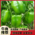 【大量供应】圆椒,菜椒,产地直供物美价廉,适合各级批发商