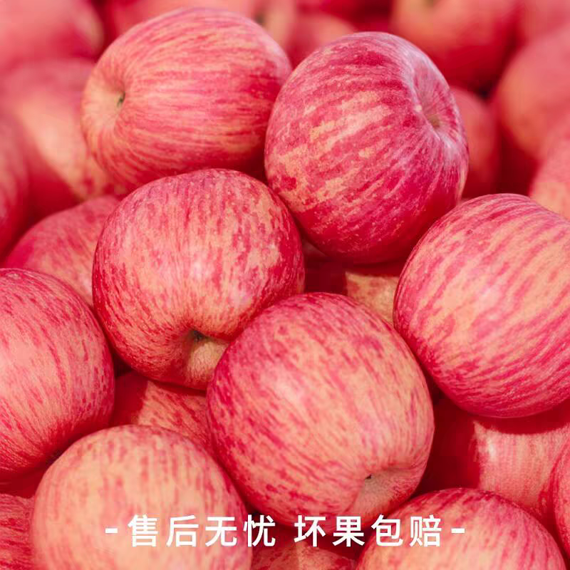 【推荐】精品红富士苹果，山东苹果，大量有货，货源直发