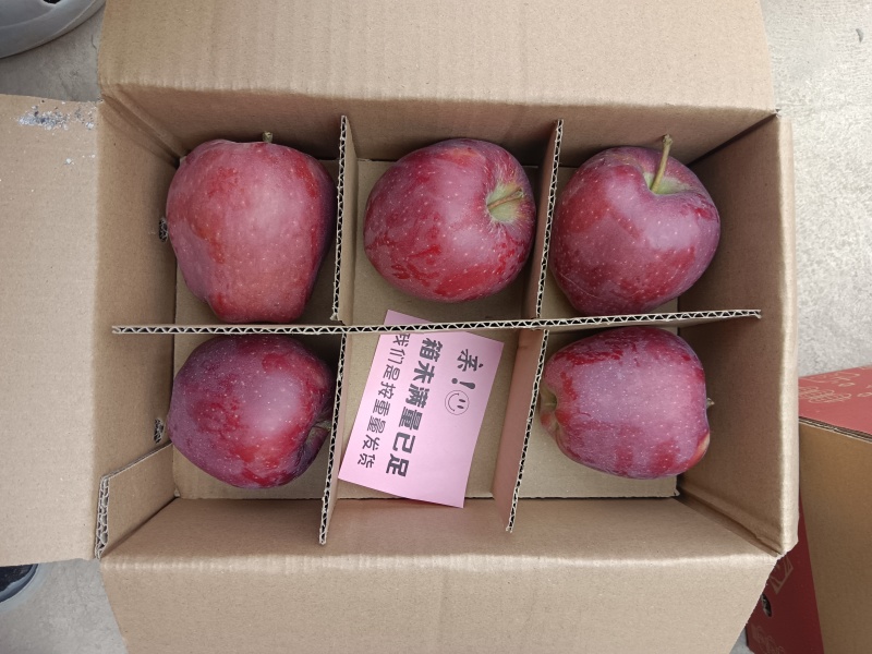 甘肃高山花牛，果面干净，货源充足，大量现货，