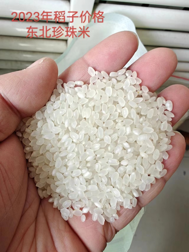 东北小粒珍珠香米，60万吨，可拆单