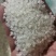 东北小粒珍珠香米，60万吨，可拆单