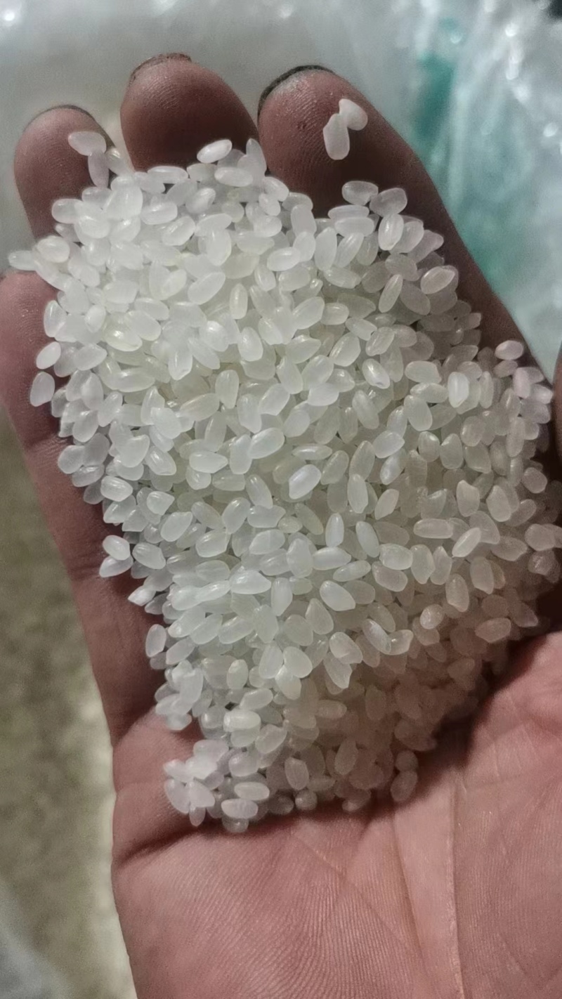 东北小粒珍珠香米，60万吨，可拆单