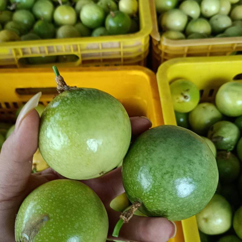 黄金百香果