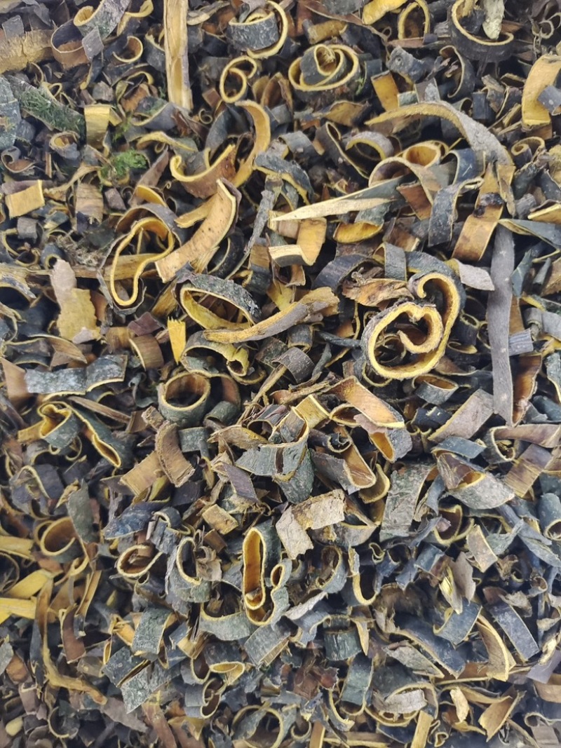 中药材批发黄柏，自然风干黄柏丝无硫质量好产地直发