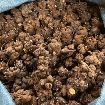 大货批发云南深山野生消瘤果黄花香果消瘤藤中药材