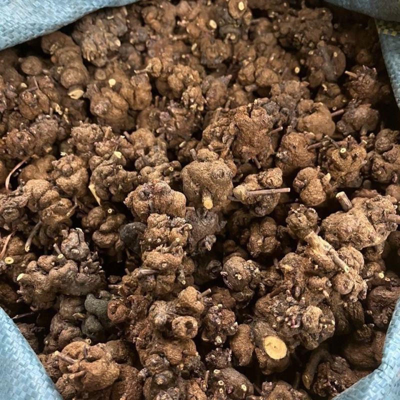 大货批发云南深山野生消瘤果黄花香果消瘤藤中药材