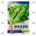 华苏日本大白皮蚕豆种子耐寒皮薄胡豆罗汉豆南北方春秋播蔬菜