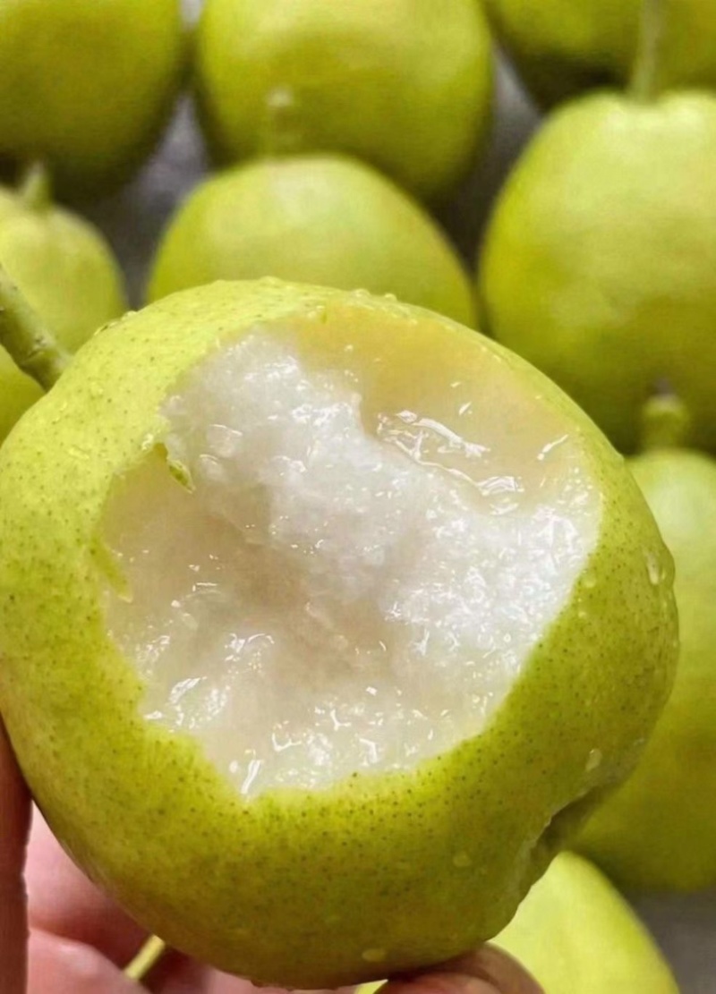 库尔勒香梨产地直发一手货源脆甜多汁量大从优
