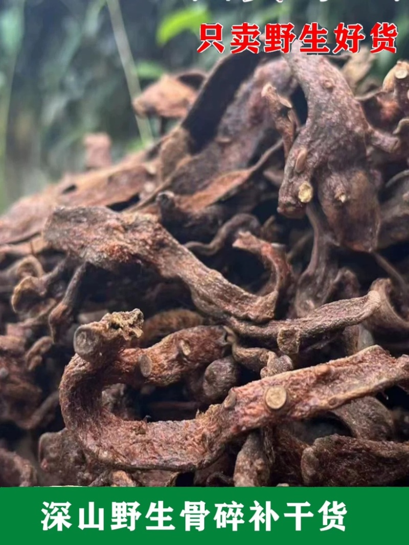 批发中药骨碎补野生大叶骨碎补无硫熏保质保量产地直发量大