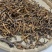 批发中药骨碎补野生大叶骨碎补无硫熏保质保量产地直发量大
