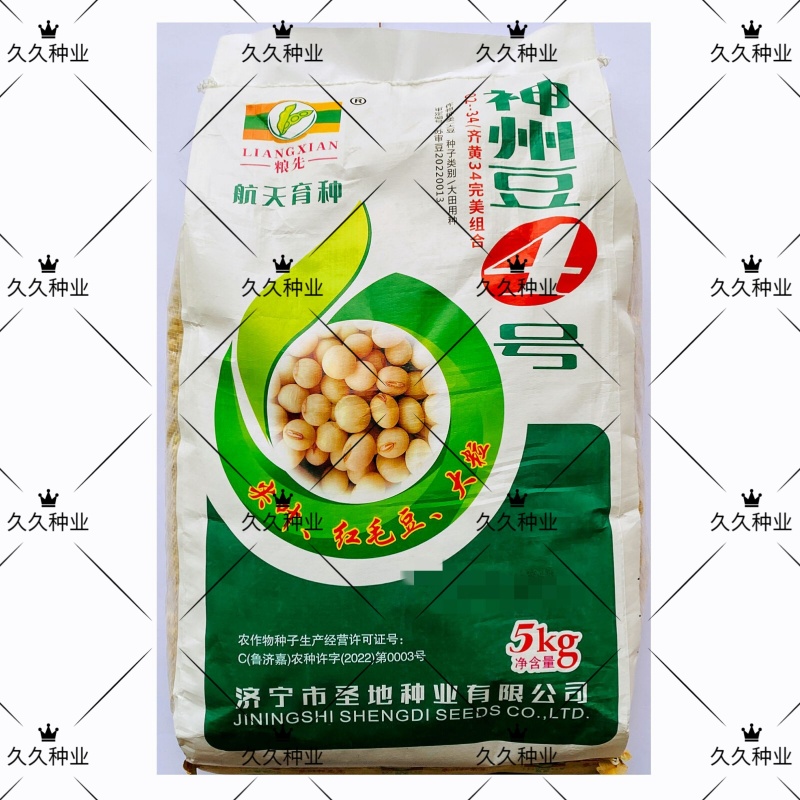 神州豆4号黄豆种子大荚饱满非转基因大豆种子农家大田用种