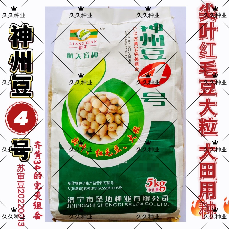 神州豆4号黄豆种子大荚饱满非转基因大豆种子农家大田用种
