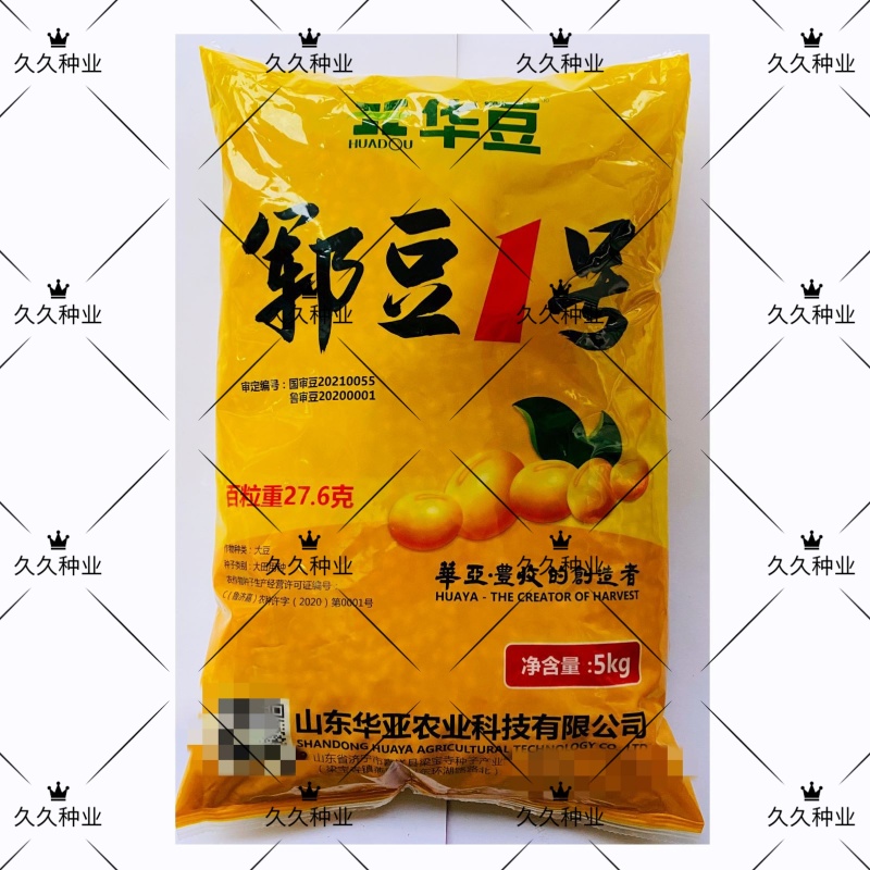 郓豆1号国审黄豆种籽大豆种子夏播农家大田高产抗病