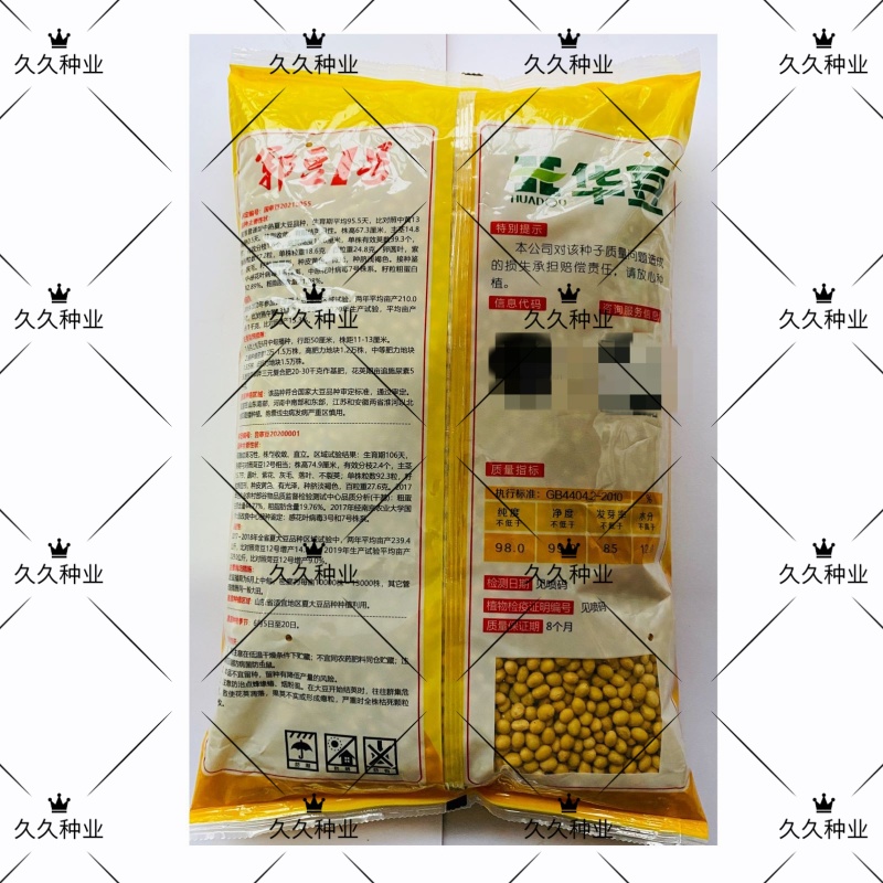 郓豆1号国审黄豆种籽大豆种子夏播农家大田高产抗病