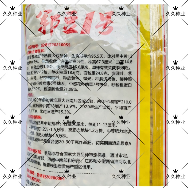 郓豆1号国审黄豆种籽大豆种子夏播农家大田高产抗病