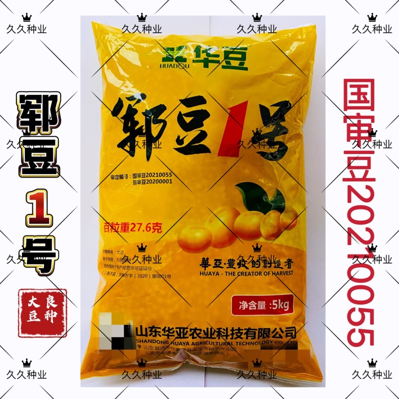 郓豆1号国审黄豆种籽大豆种子夏播农家大田高产抗病