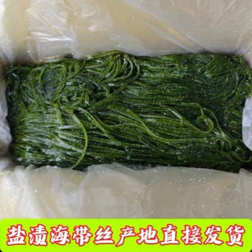 海带丝保鲜海带丝脱水海带丝盐渍海带丝烘干海带丝压缩海带丝