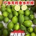 香水柠檬无籽柠檬一级果广东香水柠檬一手货源