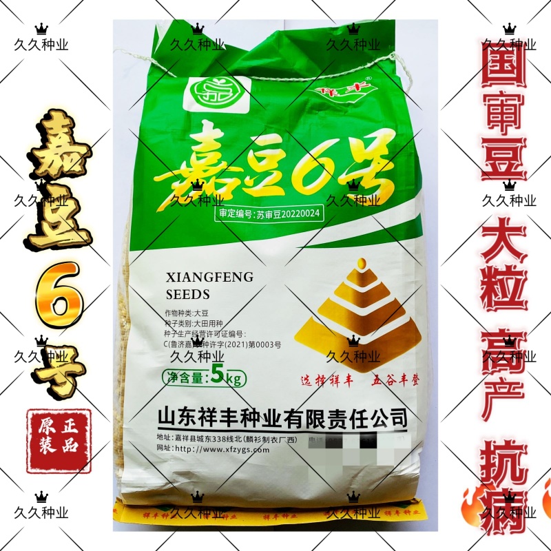 嘉豆6号黄豆种子高层抗病优质大豆种籽农家大田基地春夏播
