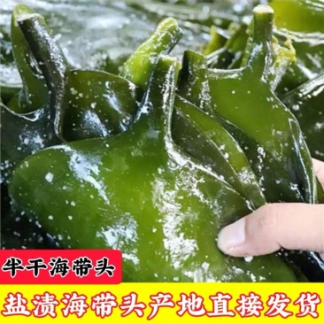 盐渍海带头海带头半干海带头烘干海带头干海带头产地发货