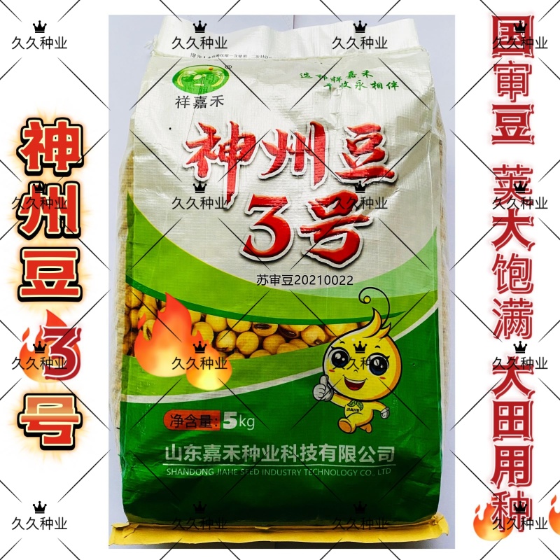 神州豆3号黄豆种子高产抗病优质不裂荚籽粒饱满夏大豆籽