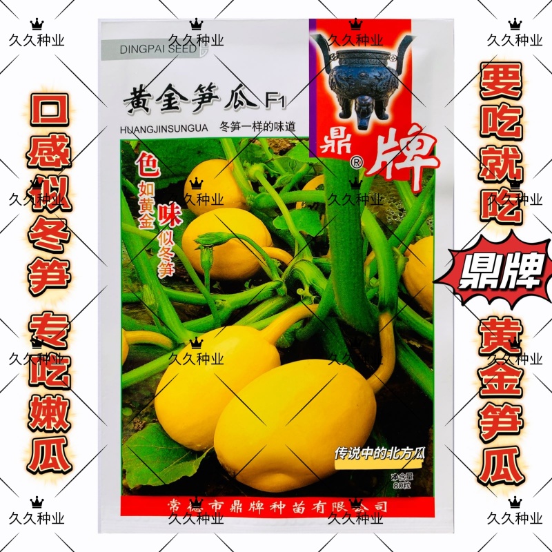 鼎牌黄金笋瓜种子特早熟坐果多坐果期长冬笋味道脆爽