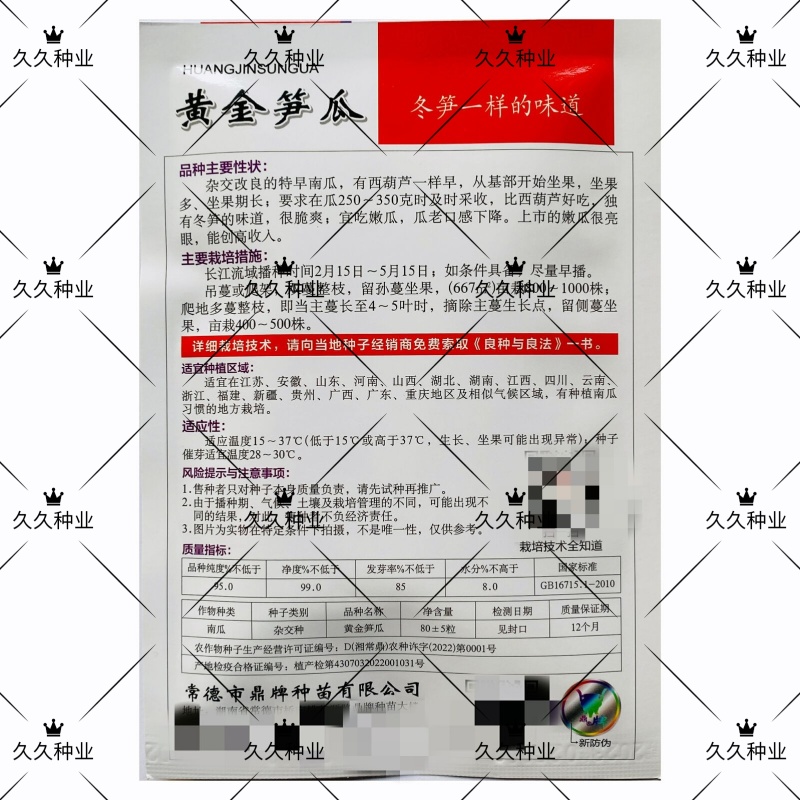 鼎牌黄金笋瓜种子特早熟坐果多坐果期长冬笋味道脆爽