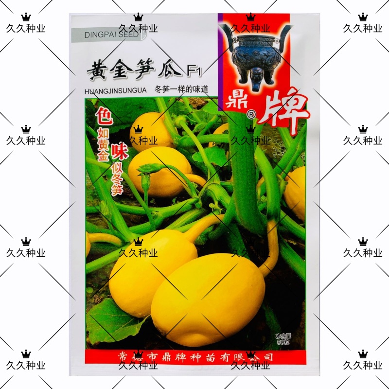 鼎牌黄金笋瓜种子特早熟坐果多坐果期长冬笋味道脆爽