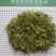 山东金银花包全检农残常年收购可按需供货