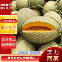 【精品】甘肃哈密晓密25对接电商市场商超可视频看货