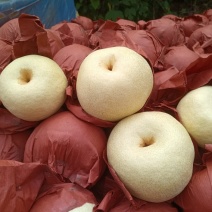 l酥