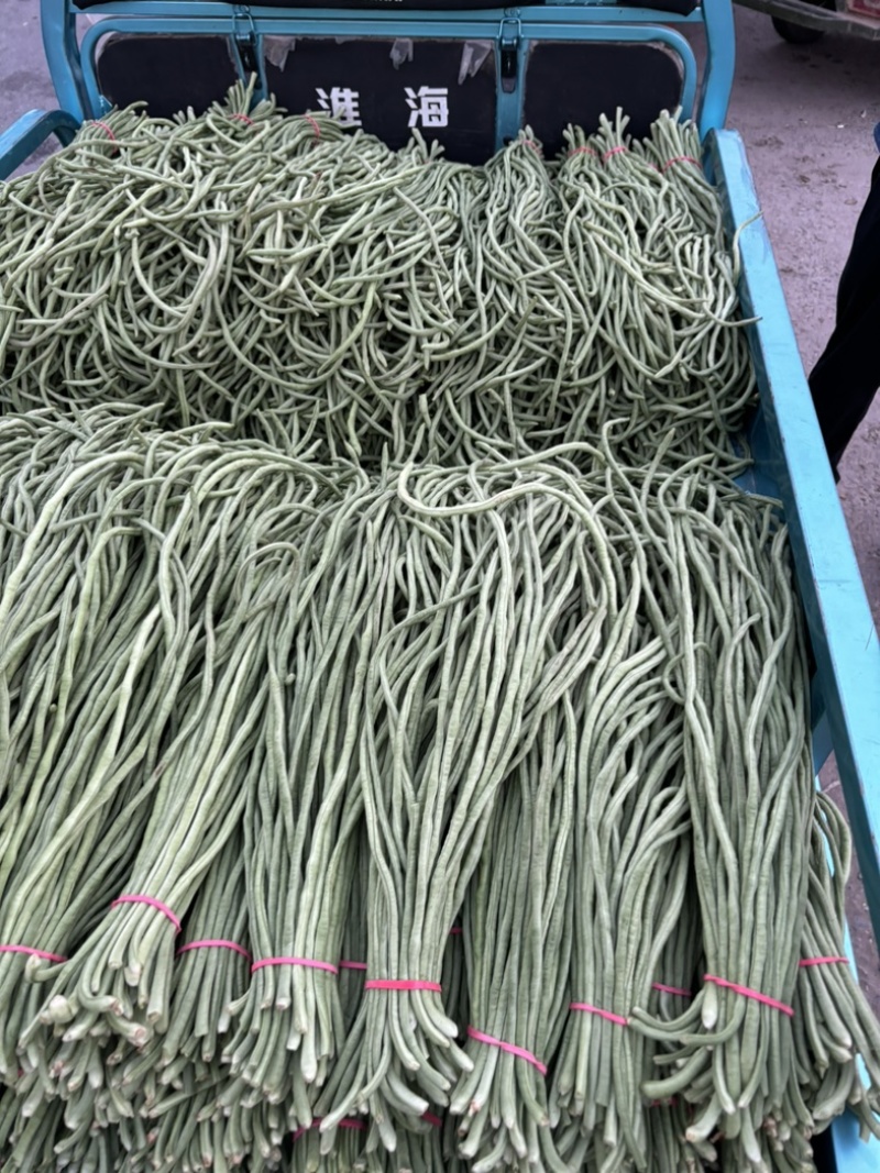 河南滑县精品豆角大量供应，各大市场，超市量大从优