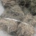 野生顺草白花蛇舌草中药材新货舌草茶百花蛇舌