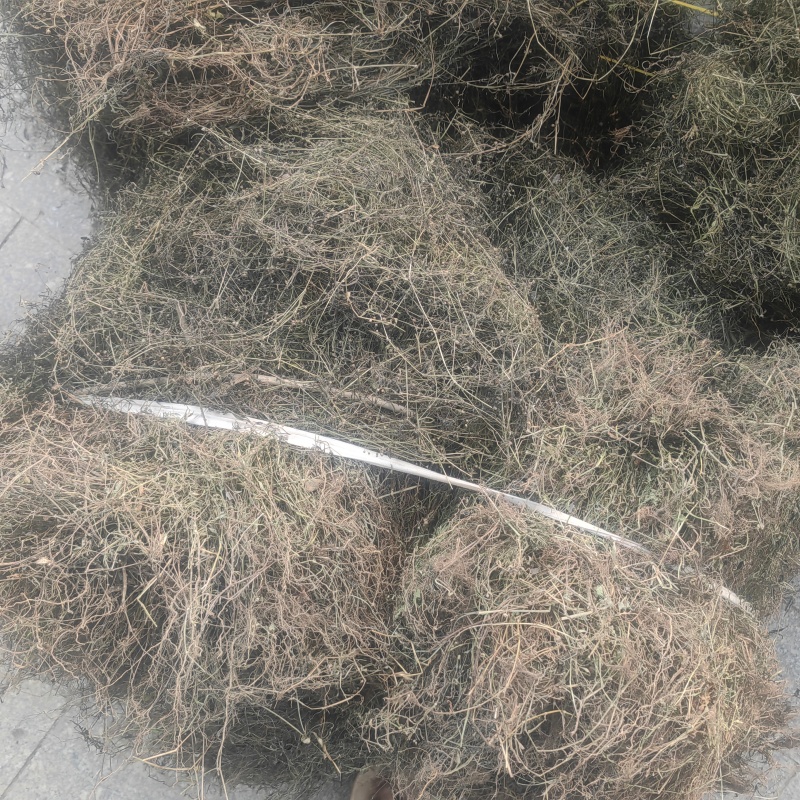 野生顺草白花蛇舌草中药材新货舌草茶百花蛇舌