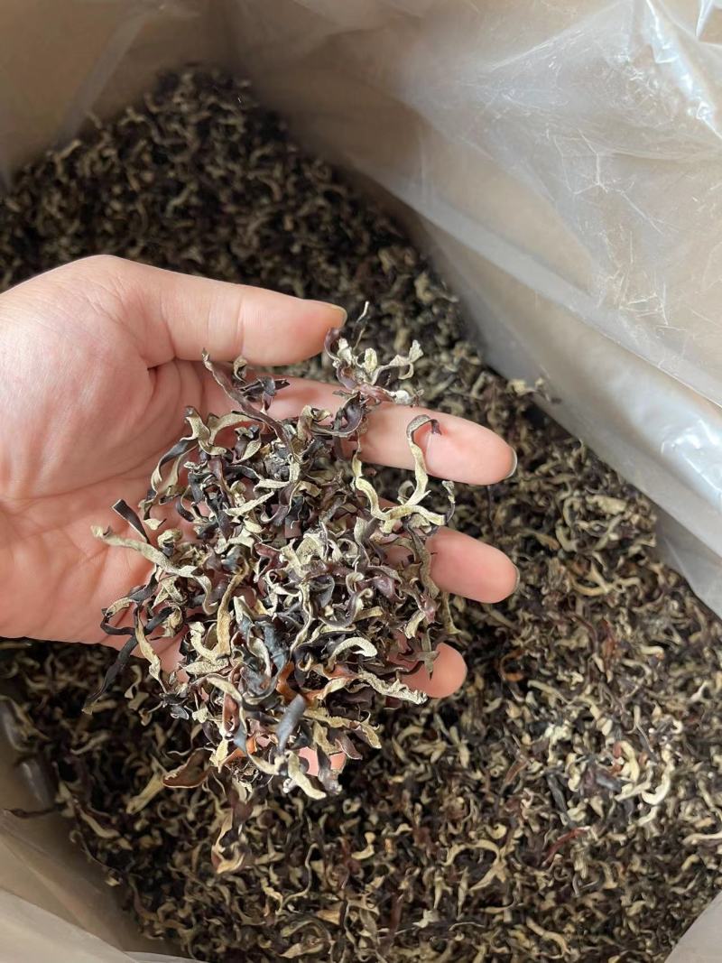 去根木耳丝大量现货，优质好木耳丝，真正的足干木耳丝去根无