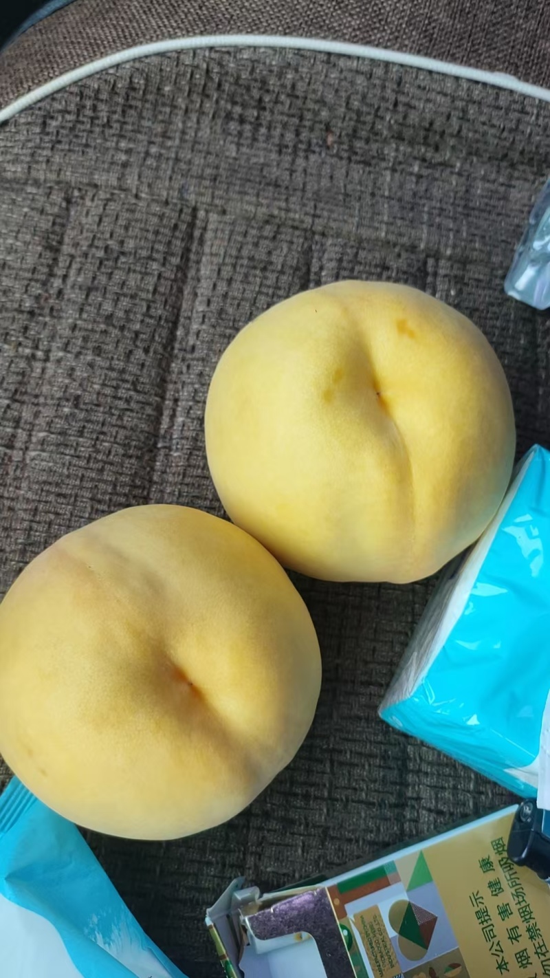 黄金蜜5号，