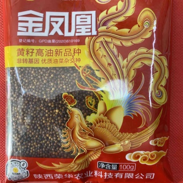 金凤凰油菜种子抗冻抗旱高产高油低芥酸品种