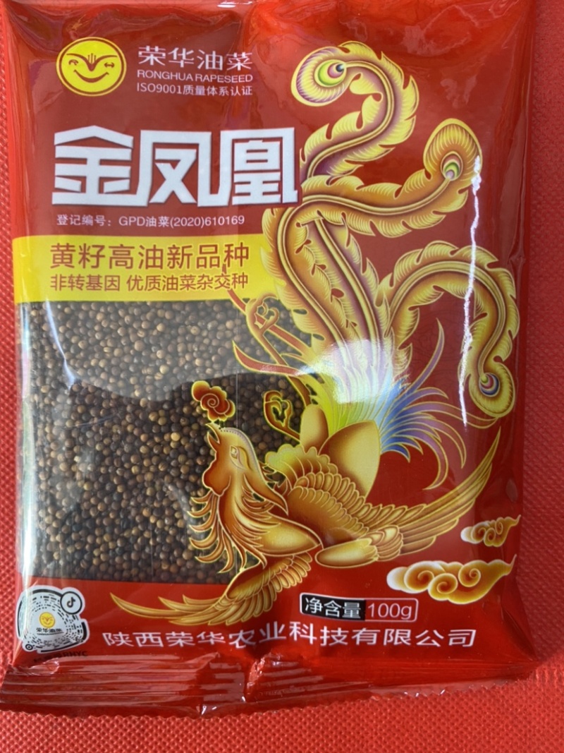 金凤凰油菜种子抗冻抗旱高产高油低芥酸品种